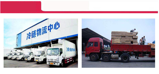 深圳冷鏈運輸與物流配送服務(wù)指南