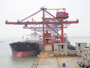 煙臺(tái)至廈門(mén)內(nèi)貿(mào)海運(yùn) 價(jià)格構(gòu)成與專業(yè)運(yùn)輸代理服務(wù)詳解